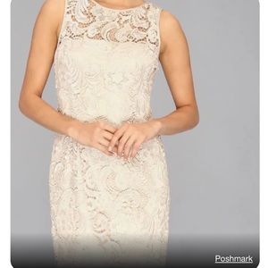 ADRIANNA PAPELL tan lace cocktail dress. Size 4. Built-in bra, double lining. 😍